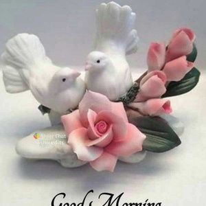 Meet your Posher, Hema